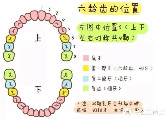 干货：儿童牙齿那点事儿 