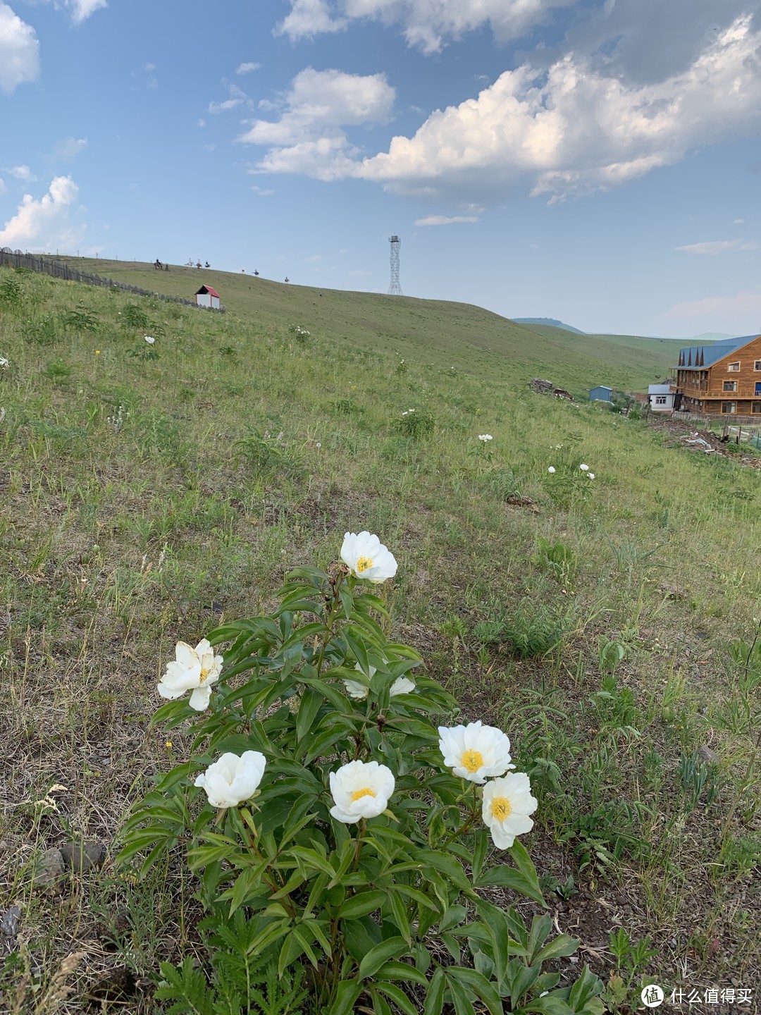 旅馆后面可以上南山