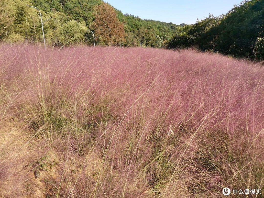 东钱湖-童村（童第周故居）-雁村（宁波的香格里拉）-白云岗景观台