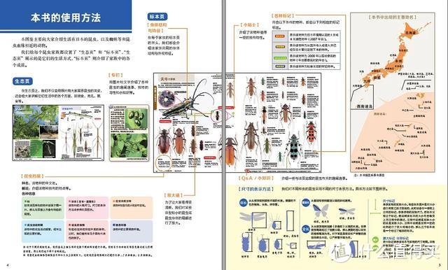 如何让孩子更好地学习科学？这些超硬核的科普绘本了解一下，让孩子爱上科学（含各阶段书单）