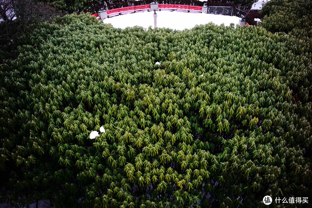 极光爆发的季节到了，又想去拍摄绝美挪威，带徕卡相机去旅行真的很爽