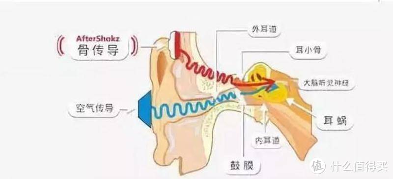 能否出圈将骨传导进行到底？韶音OPENMOVE骨传导耳机实测