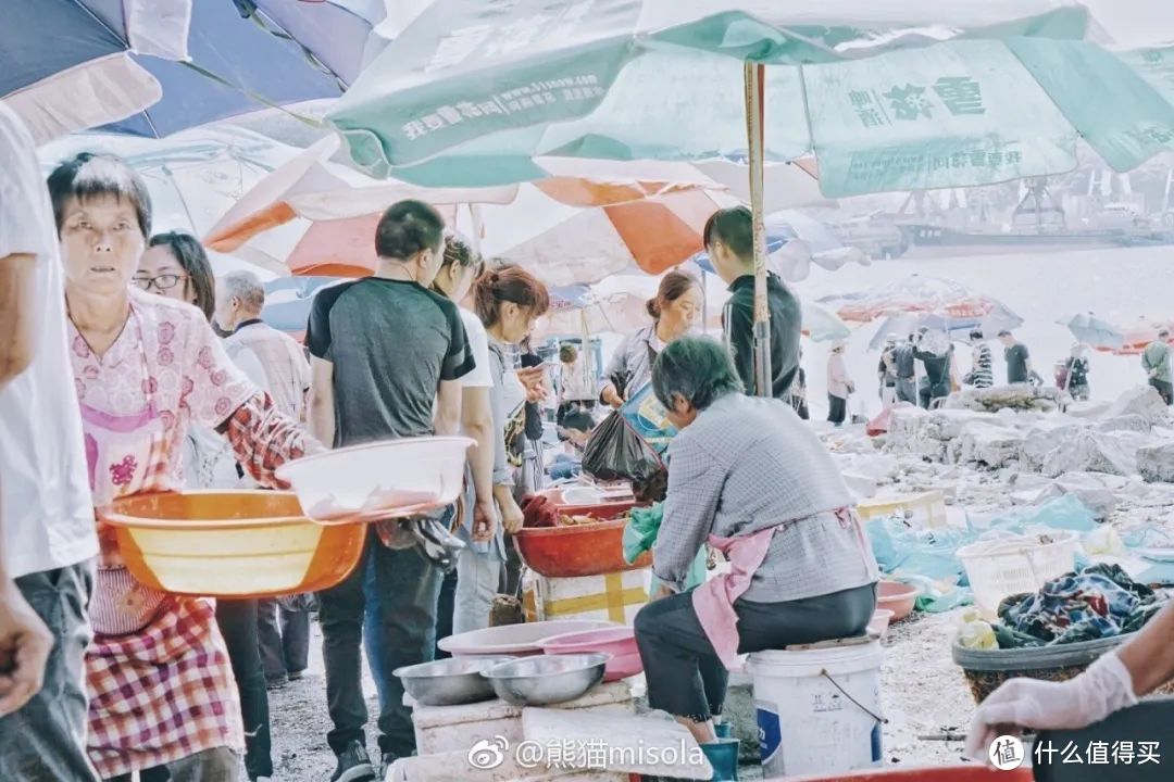 浙江超超超低调的海鲜味小县城，终于等到“蟹圈顶流”上市了！