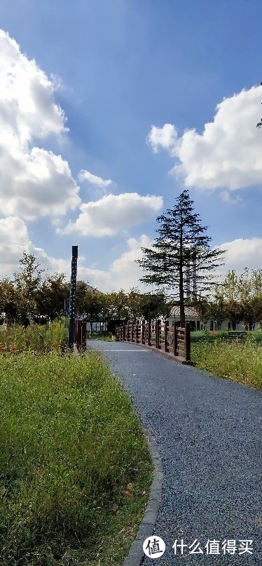 浦江郊野公园游记/一座以森林游憩、滨水休闲为主要功能的近郊都市森林型郊