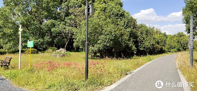 浦江郊野公园游记/一座以森林游憩、滨水休闲为主要功能的近郊都市森林型郊