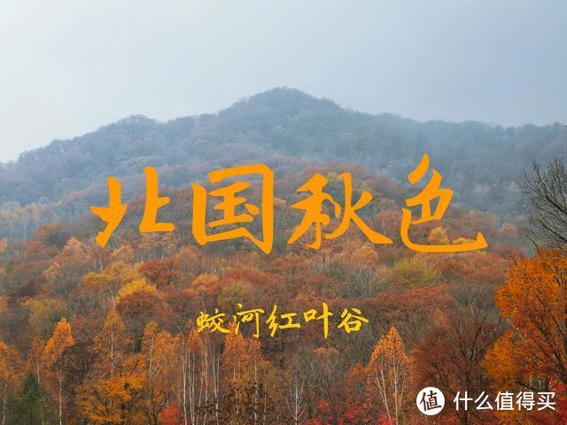 北国秋色，没有游客只有红叶，一座山脉连着一座山脉