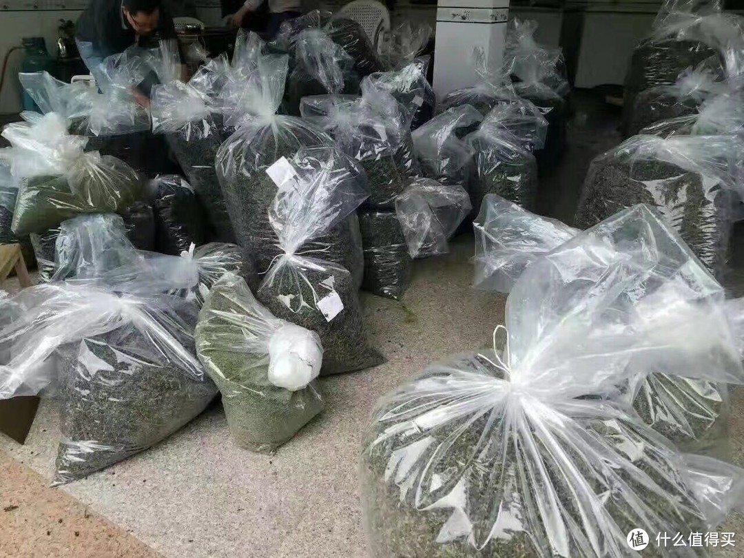 寒露出好茶，指的是什么茶？