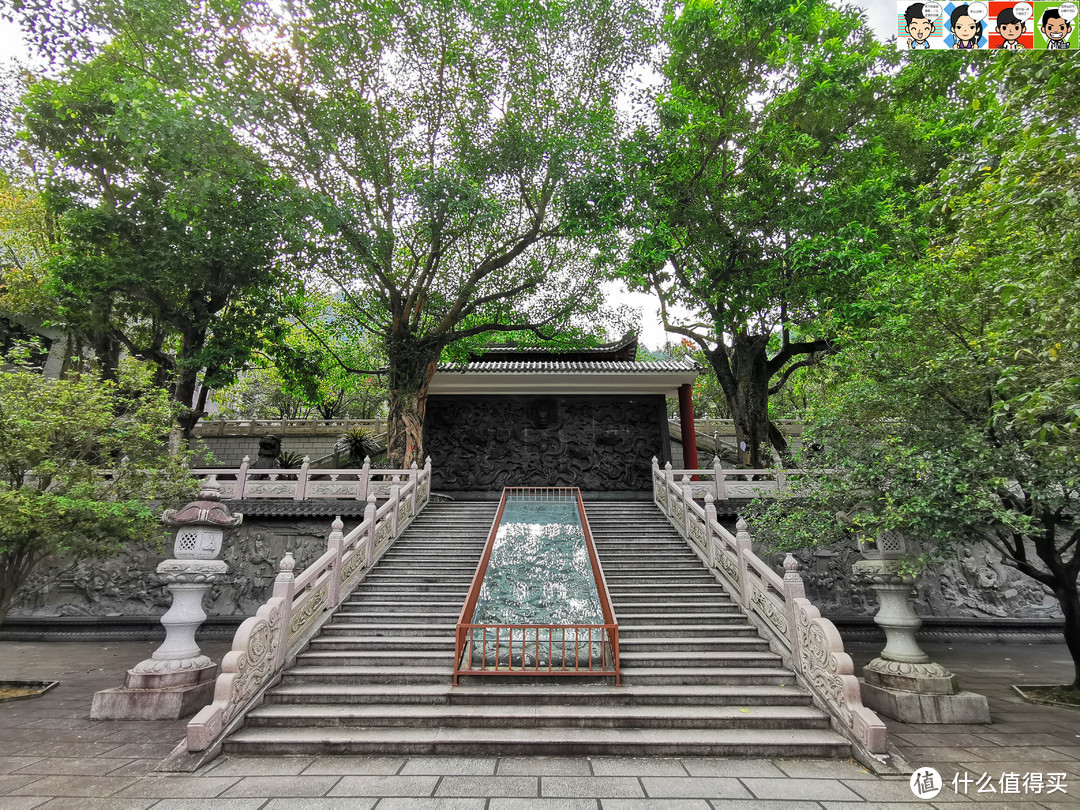 菩提花雨，