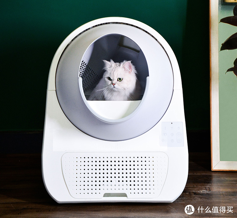 新手养猫指南进阶篇——8款智能好物提升你的养宠幸福感！