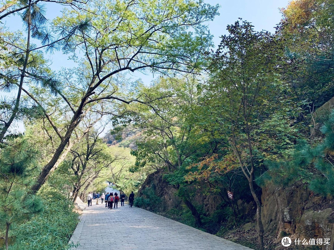 旅行的意义是什么？有山有水有民宿，有哭有笑有释然。日照五莲，森系原生