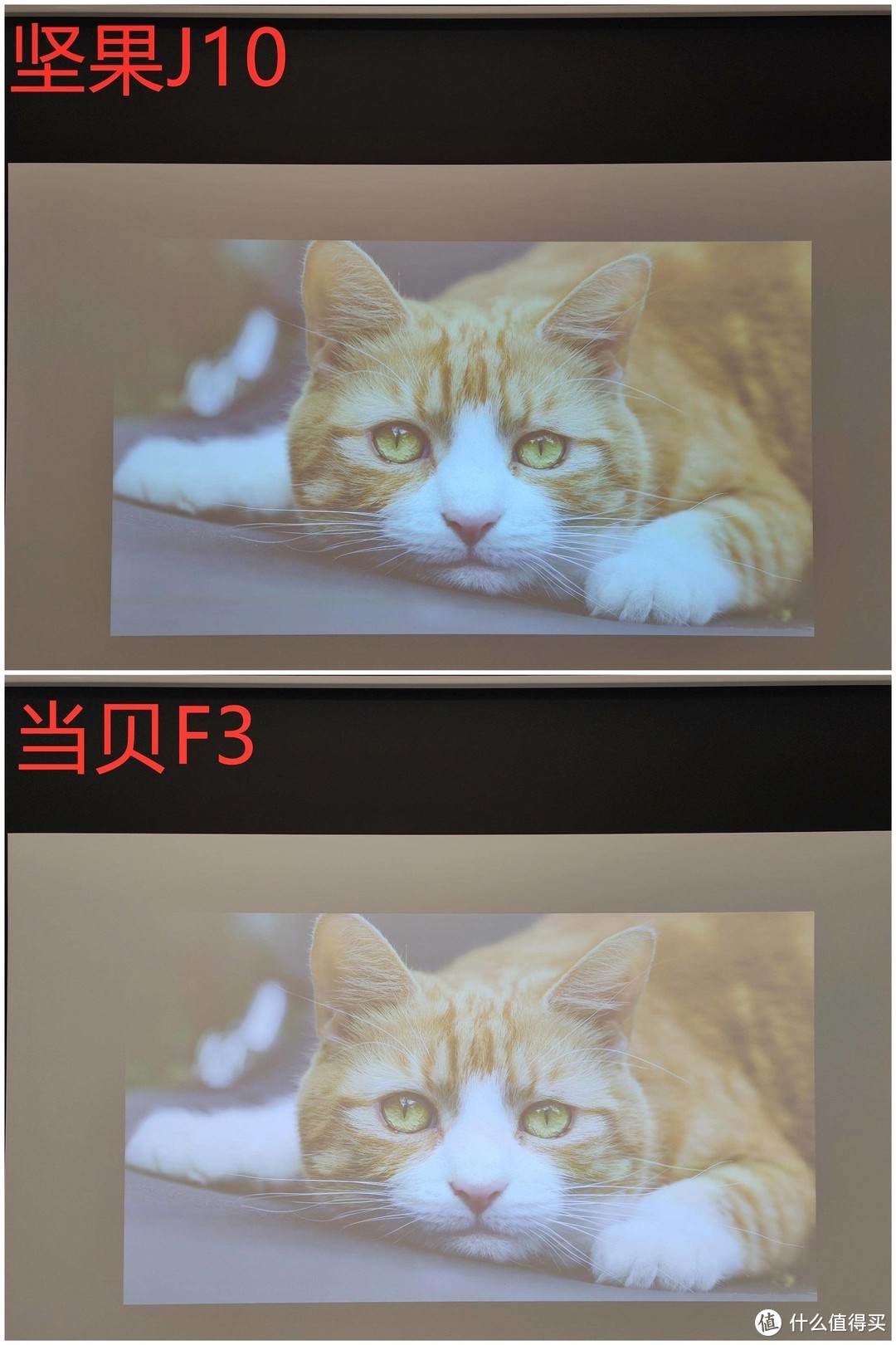 全方位实测！坚果J10 & 当贝F3，猜猜看，哪款性能更强？