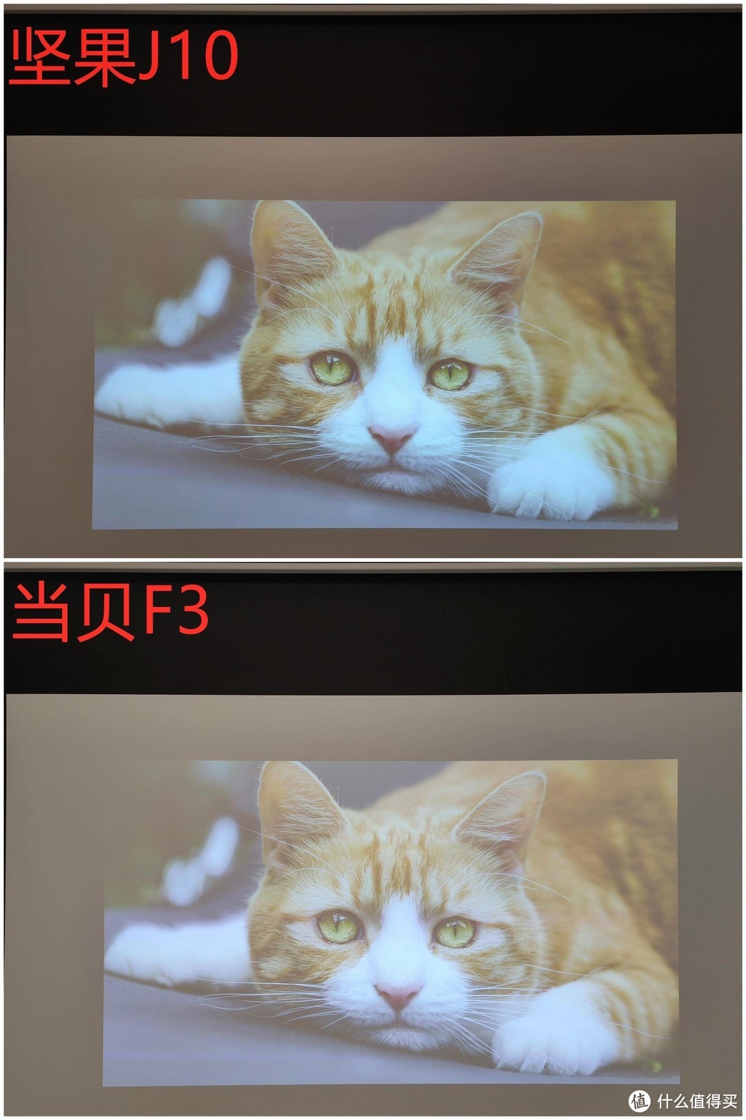 全方位实测！坚果J10 & 当贝F3，猜猜看，哪款性能更强？