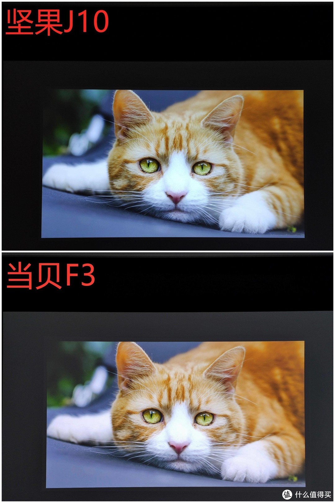 全方位实测！坚果J10 & 当贝F3，猜猜看，哪款性能更强？