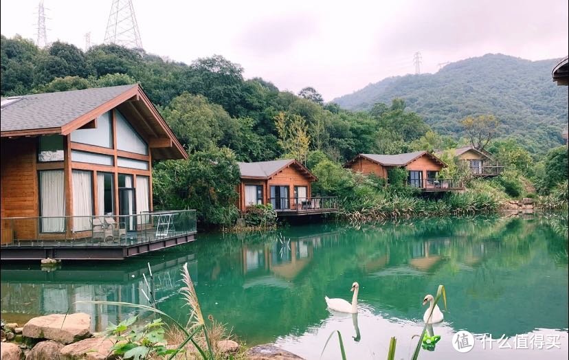 杭州森泊开元酒店，江浙沪亲子好去处！