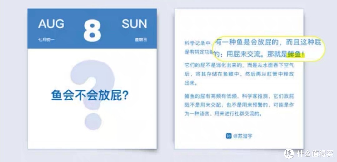 盘点十款2021有颜有料的日历——双十一，为生活添点小美好。