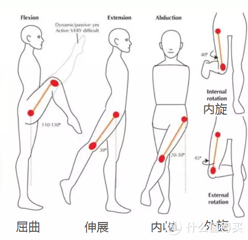 腰疼、膝盖痛的真正原因，不是运动，而是它