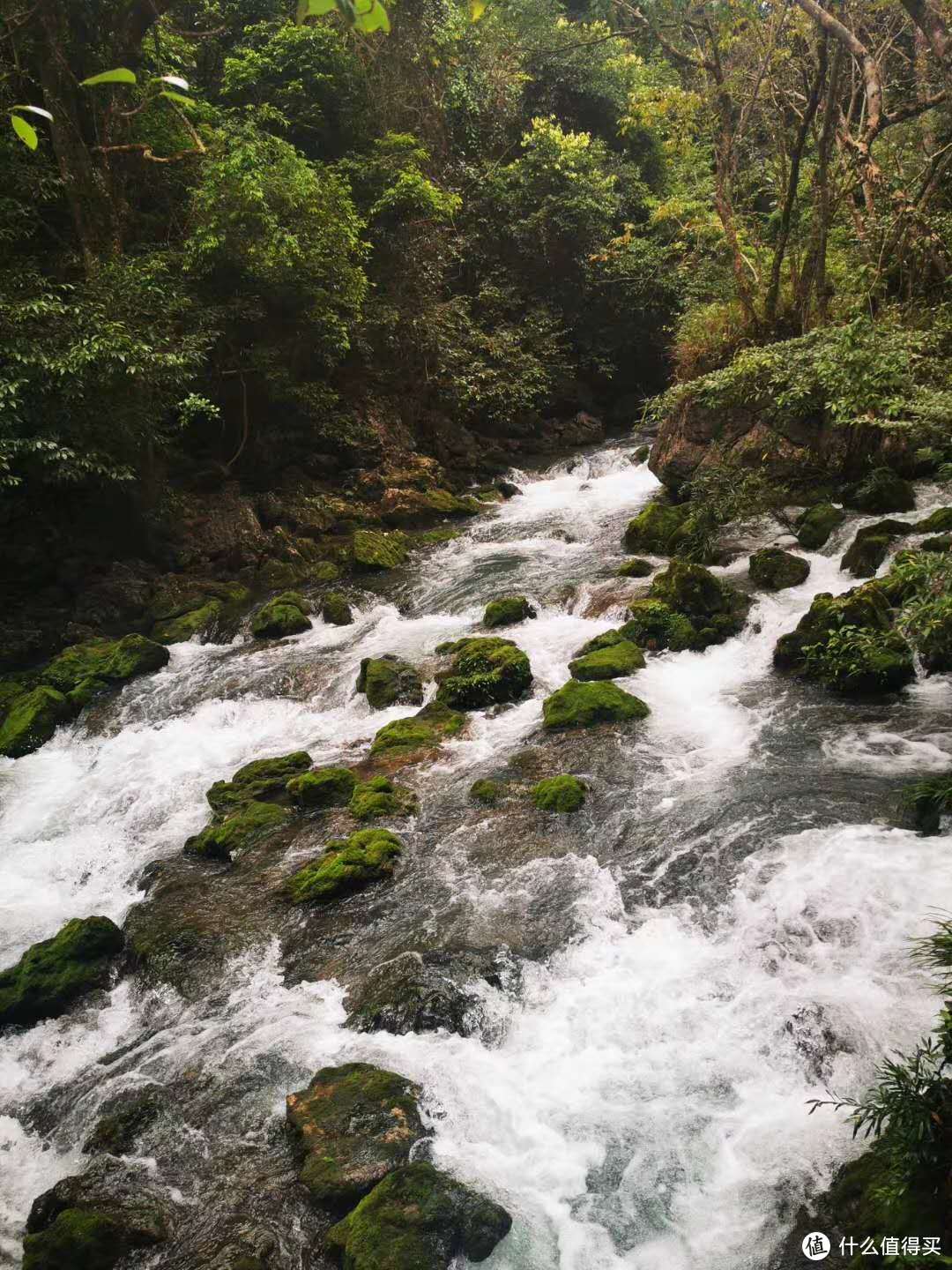 爱在瀑布尽头，情系山城脚下——贵州、重庆热门景点打卡