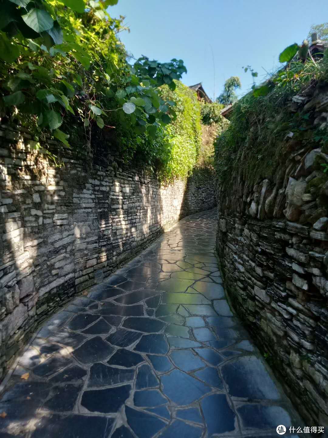 爱在瀑布尽头，情系山城脚下——贵州、重庆热门景点打卡