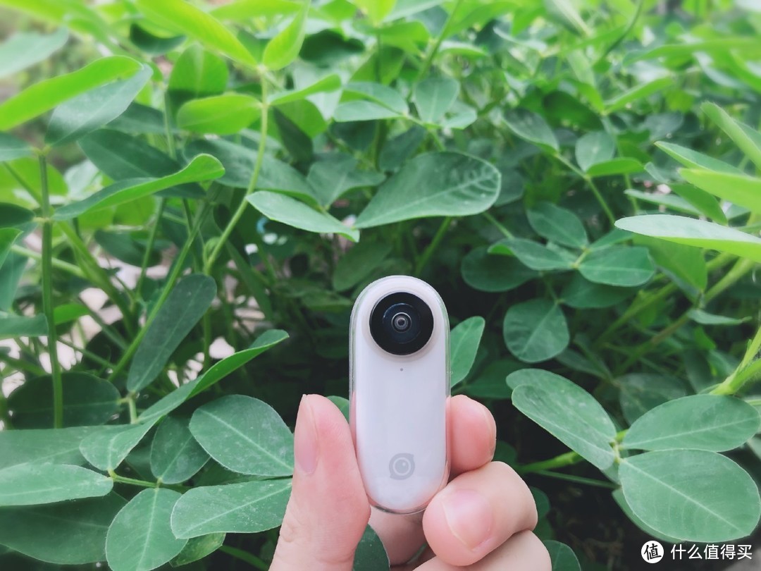 你的目光所及之处——Insta360 GO 来记录