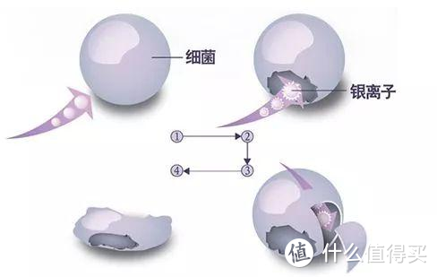 HCC钛金杀菌净味 海信439升智能冰箱使用体验