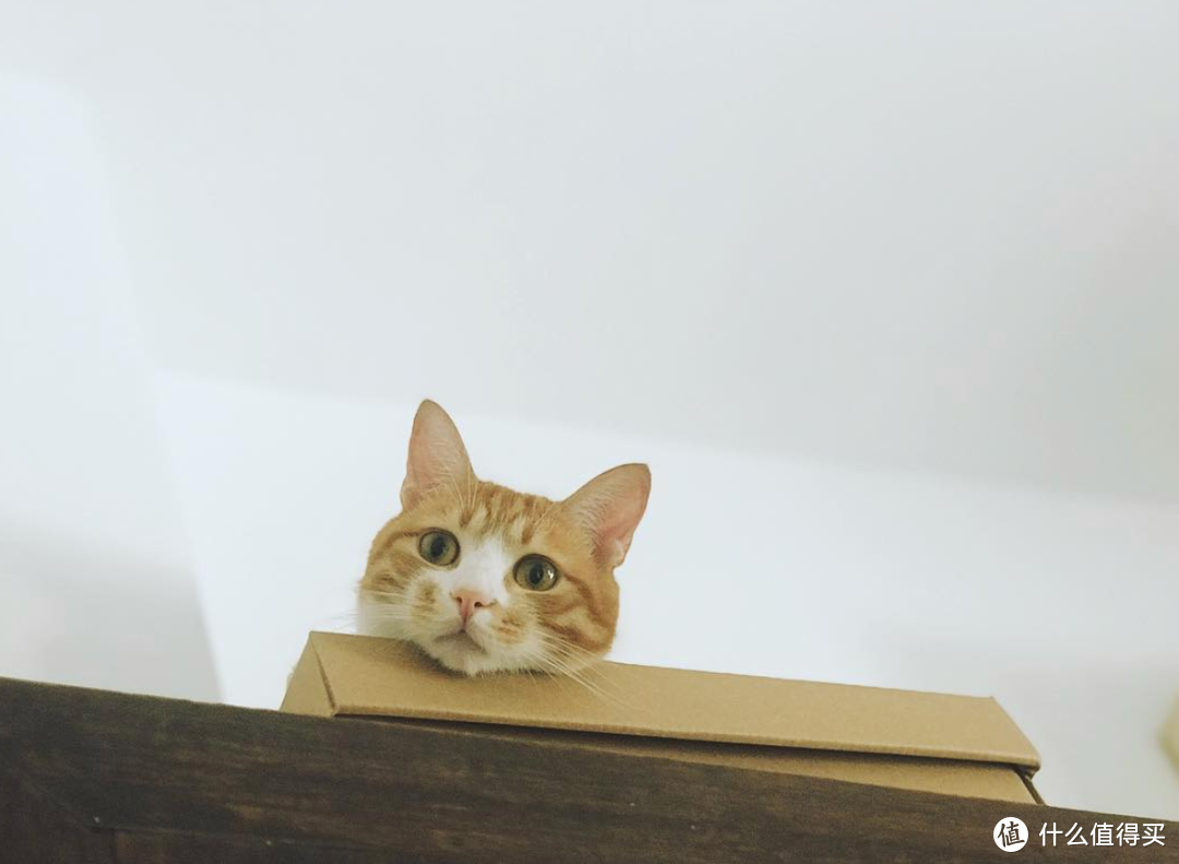 旅行其实很简单篇八百四十四 杭州的咖啡地图 跟着这篇 闭着眼睛喝就行 餐饮与服务 什么值得买