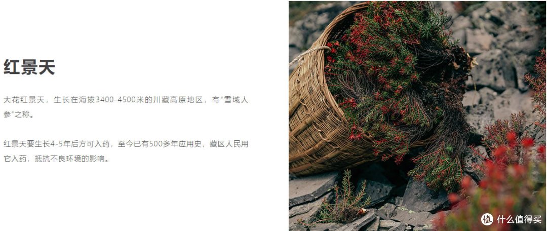 老牌国货也有春天：细数那些好用不贵的宝藏国货护肤单品