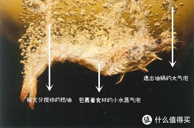 空气炸锅/空气炸烤箱值不值得买？从原理细细讲起