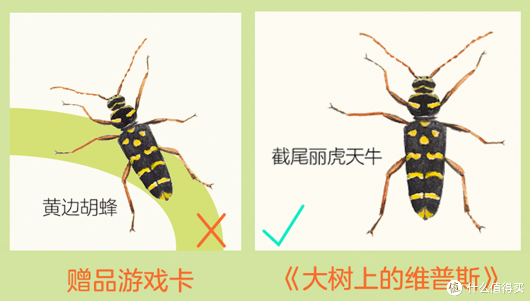 双十一值得送给孩子的16本既有趣又有意义的童书