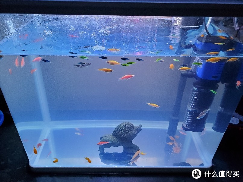 双十一拼多多花了130元给鱼儿换个大大的家承影水族箱XL-520 开箱