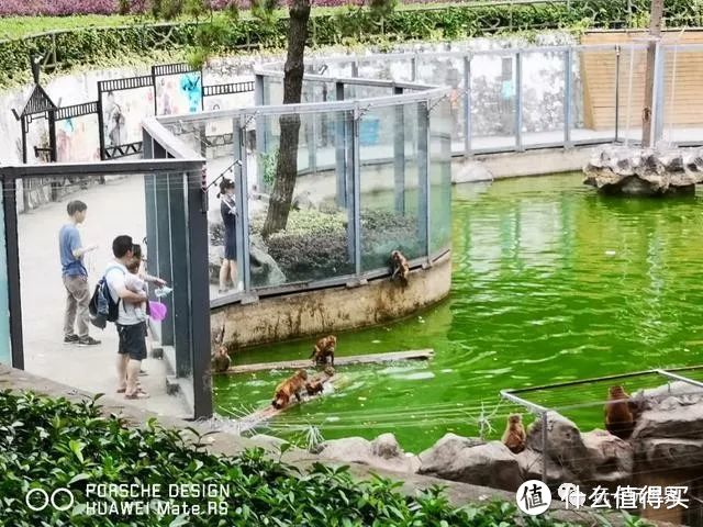 工行半价！南京香格里拉大酒店入住报告