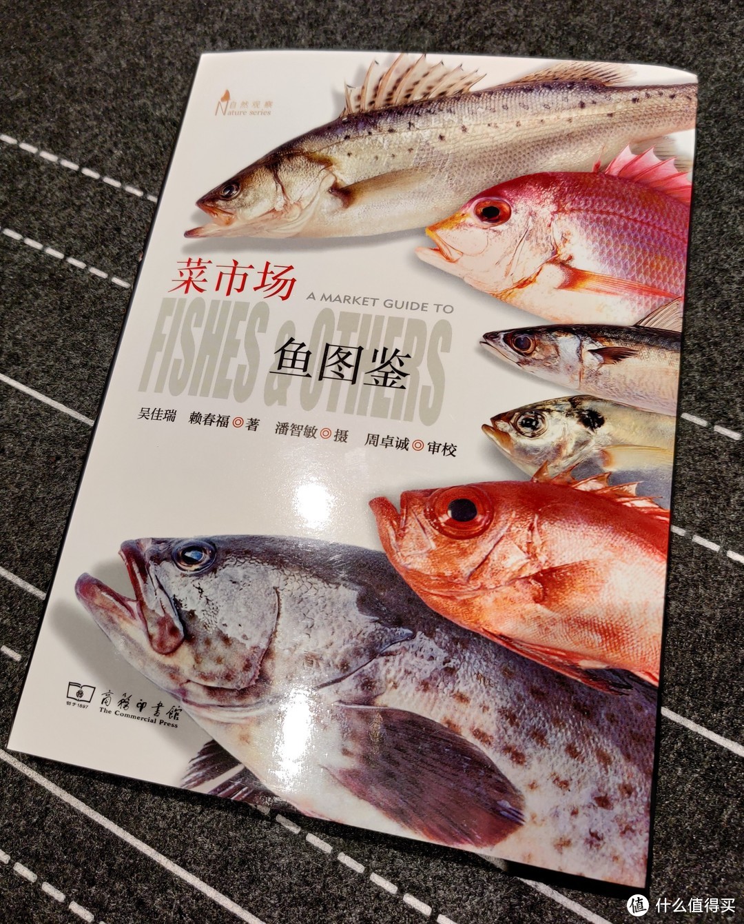 不求甚解集篇十七双十一书籍第一单菜市场鱼图鉴dk博物大百科墨比斯