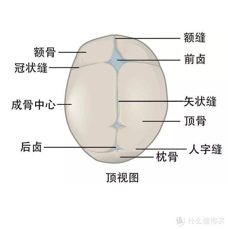 精打细算淘货不剁手 | 2020年双11安全座椅选购攻略