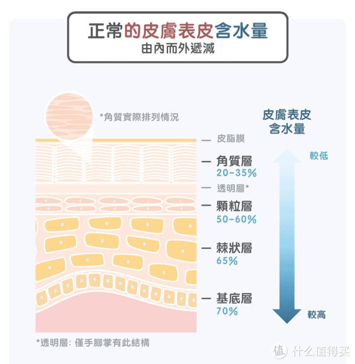 天生「油」物为何干燥脱皮？外油内干究竟是人性的扭曲还是道德的沦丧？水油平衡会是护肤的终极诉求么？