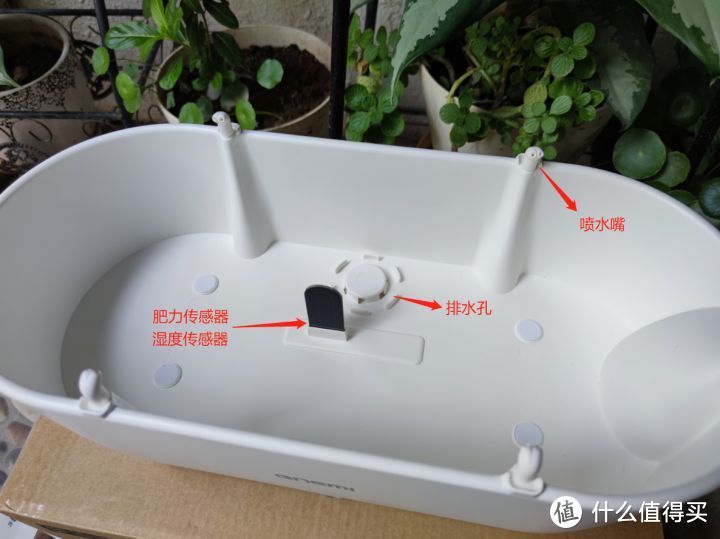 远程监测、自动浇水！在家种花种菜轻而易举，这个产品有点意思