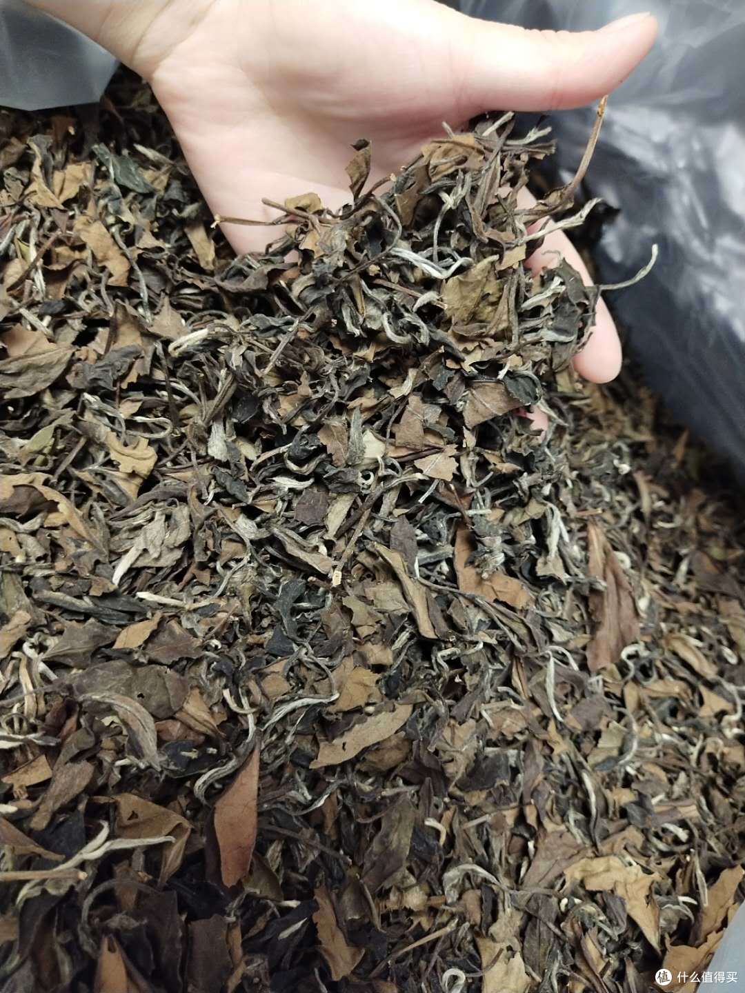 号称2013年的老白茶,做旧老白茶颜色单一,叶片多数发黑发黄.