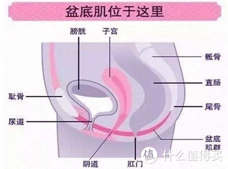 产后修复没有掌握好 你真的会后悔