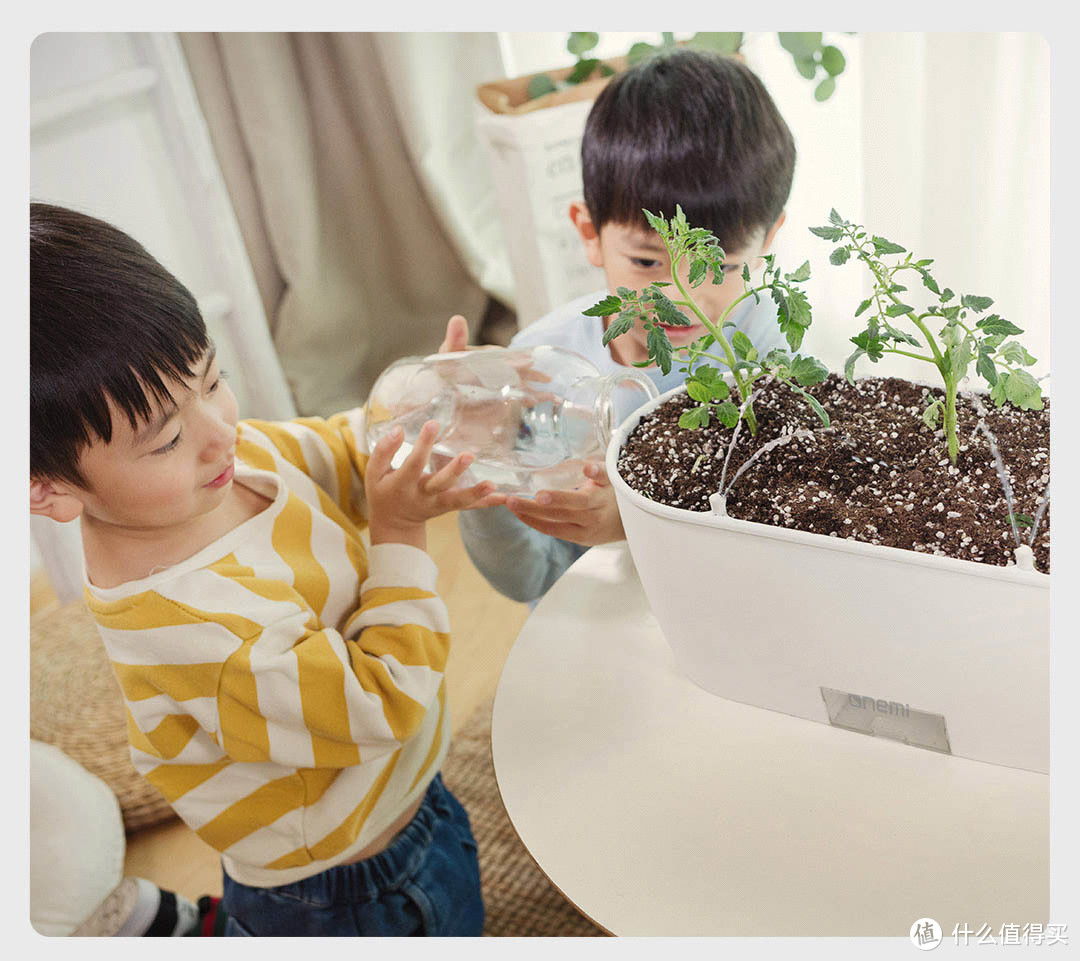 什么植物都养不活？换个一米田AI智能花盆，实时监测植物状态，还能自动浇水！