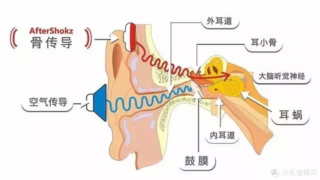 专为运动而生——南卡Runner Pro骨传导蓝牙耳机（上）