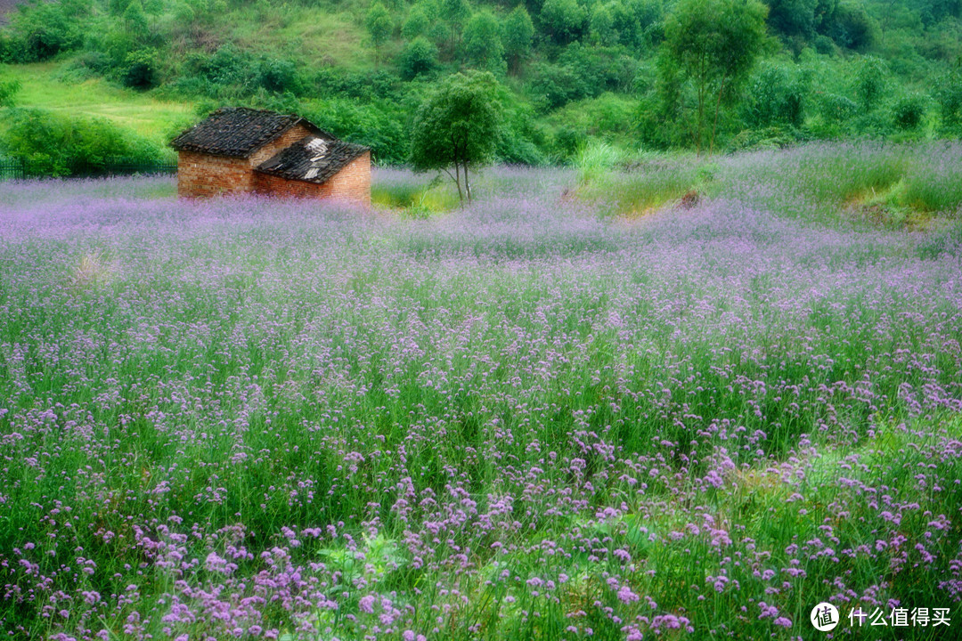 A72升级A7C，小白变傻瓜