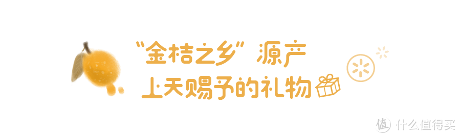 滑皮金桔：重新定义金桔，意料之外的甜蜜