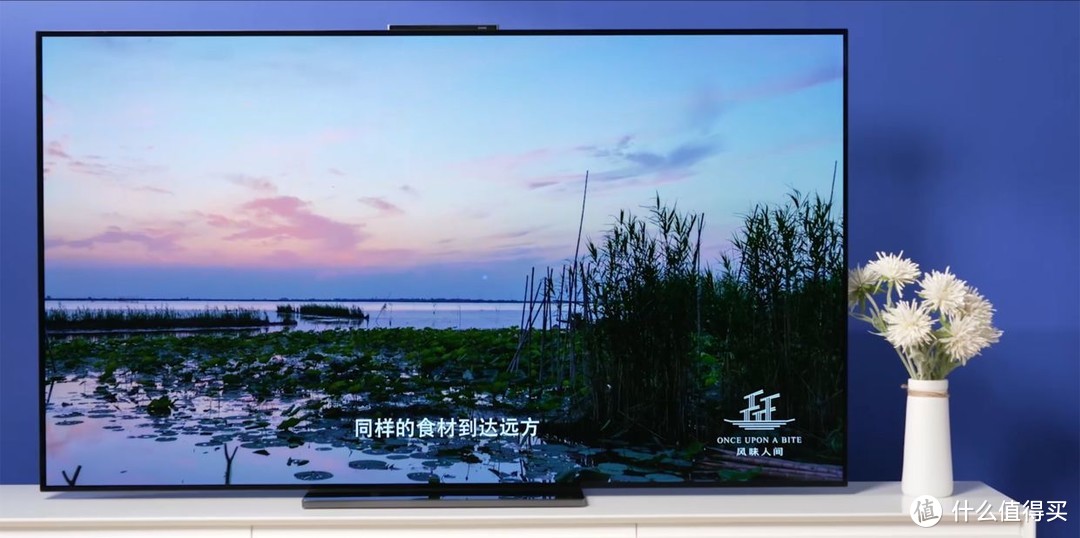 四款 OLED 电视评测