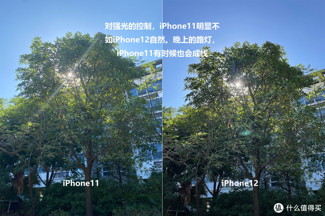 iPhone11比12更值得入手？不妨先看看它们拍照、性能的实测对比