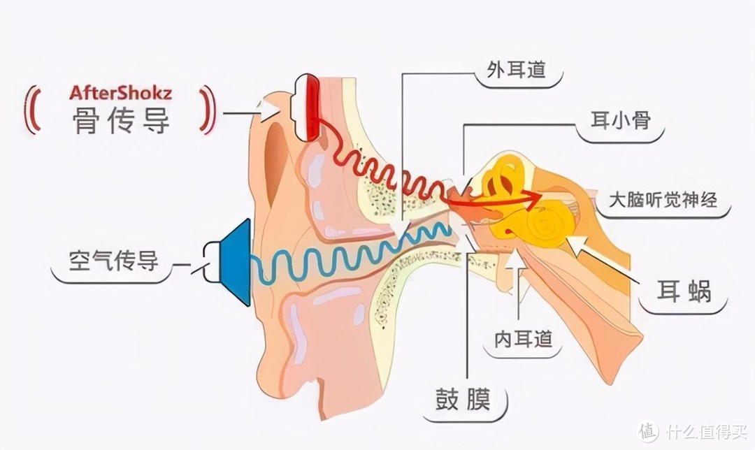 全新运动听歌新体验，南卡 NANK骨传导Runner Pro蓝牙耳机评测体验