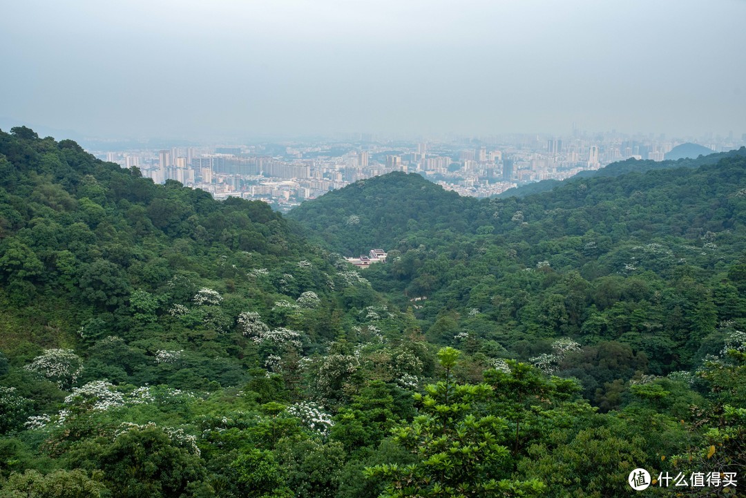 春夏秋冬又一春·广州白云山