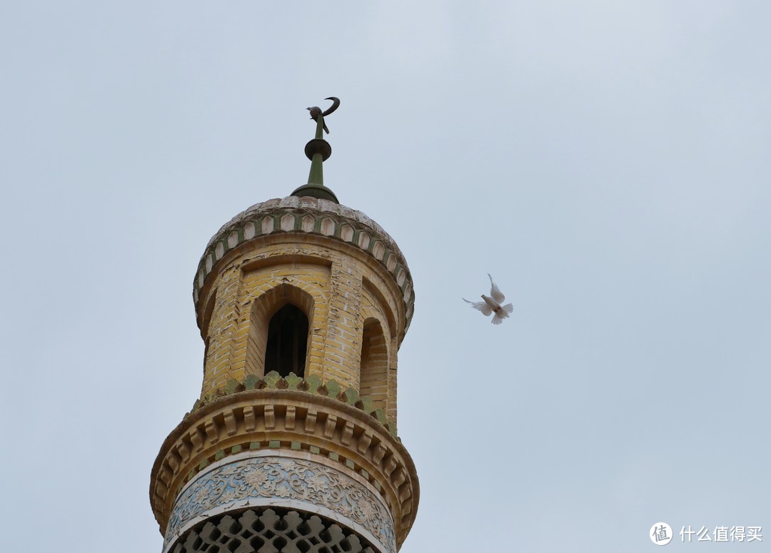 喀什艾提尕尔广场上的鸽子