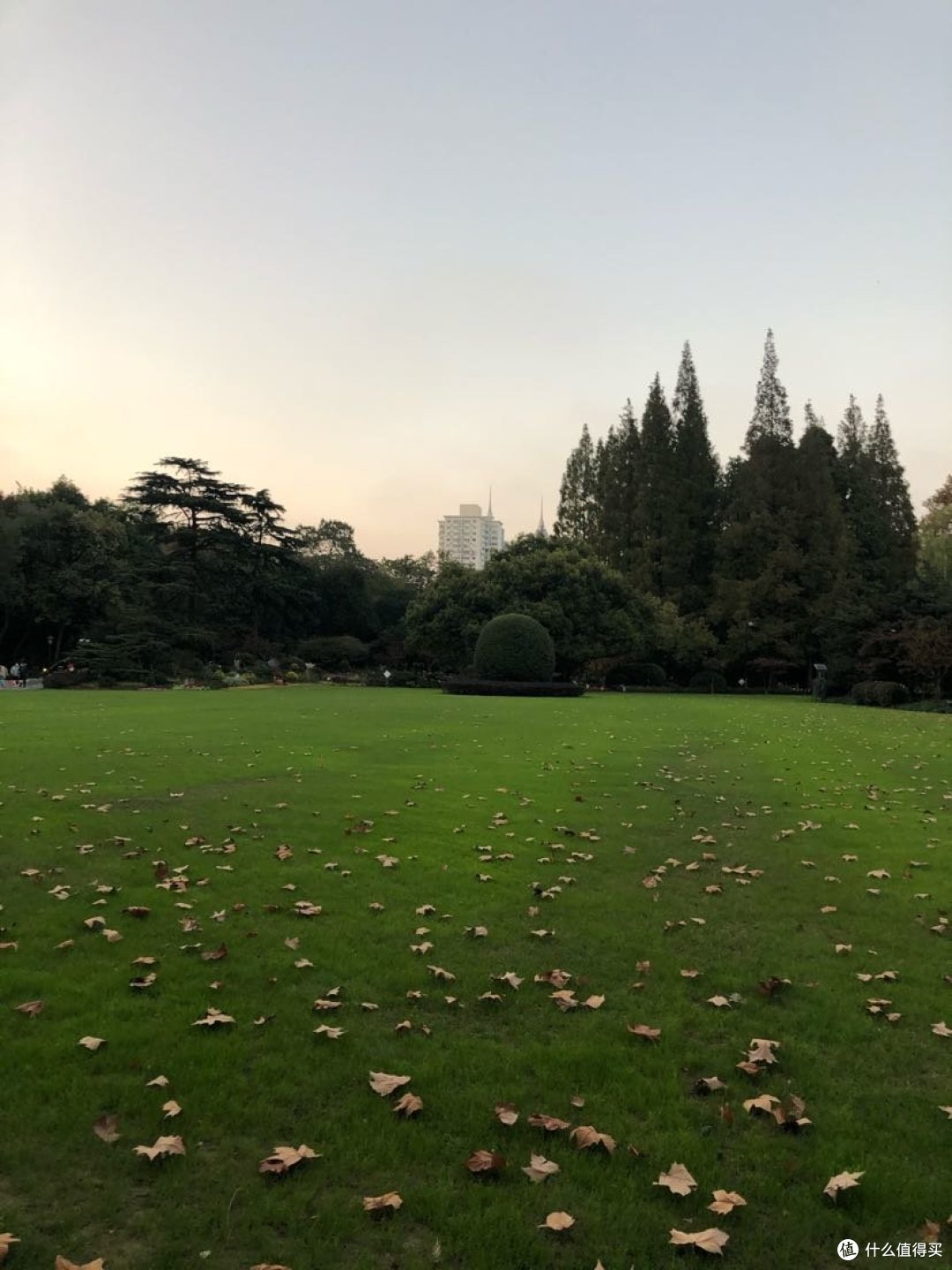 中山公园是樱花最密集的地方,坐落繁华的商业圈,游玩于上海市长宁区市