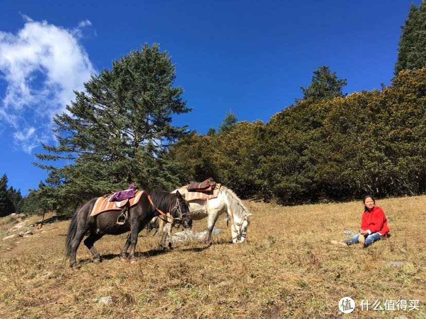 可可爱爱的小妹和她妈妈一起块牵着马估计刚送人上山