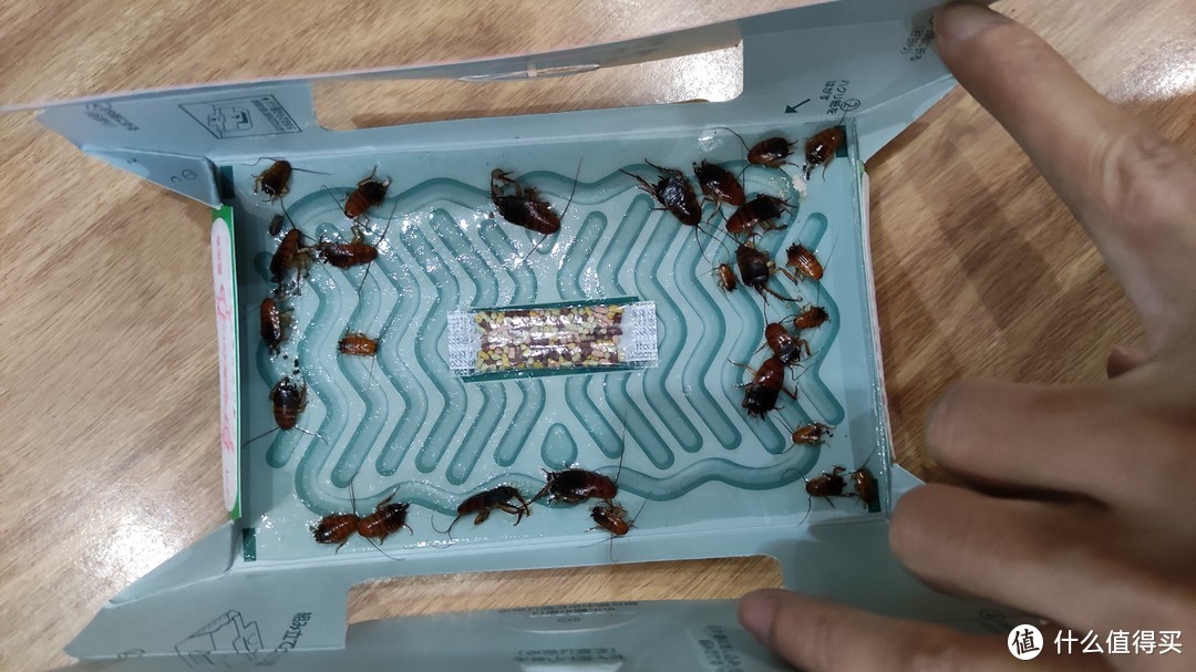 日常开箱晒单篇四十三小强克星安速蟑螂屋