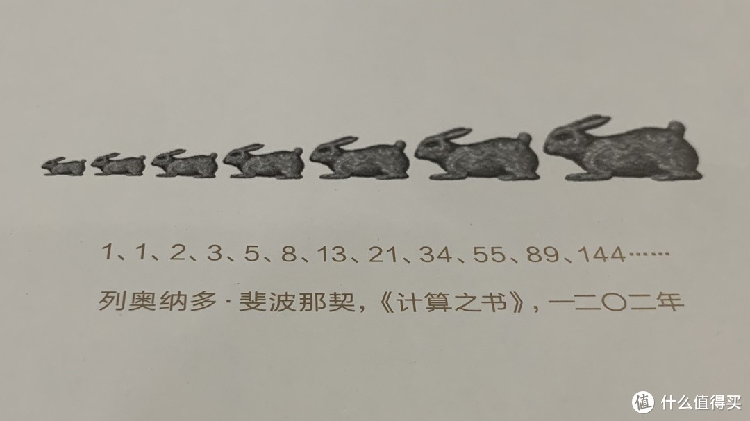 图书馆猿の2020读书计划63：《兔子小史》