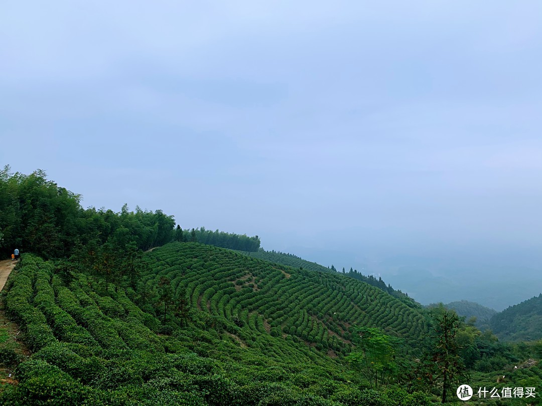 斯柯达明锐旅行提车记：圆梦瓦罐